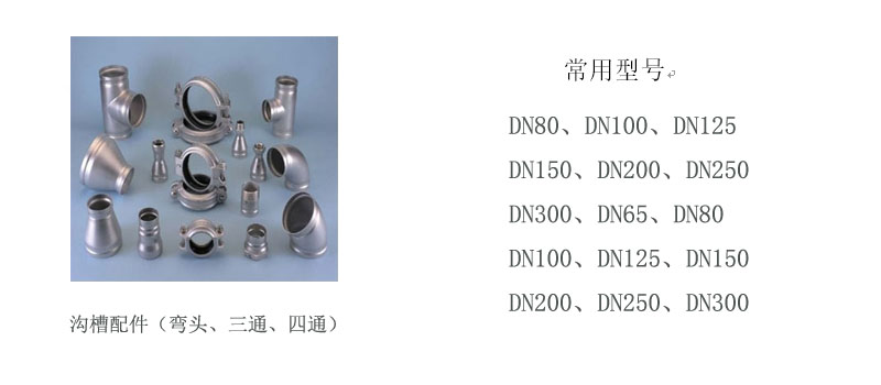 p6_c.jpg