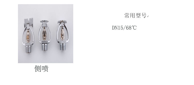 p11_c.jpg