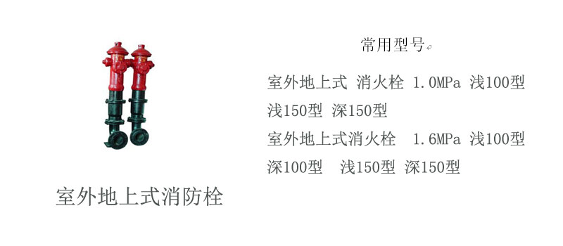 p13_c.jpg