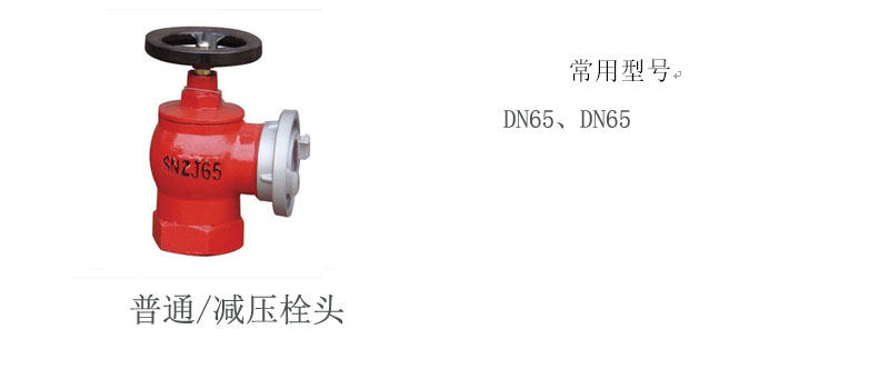p17_c.jpg
